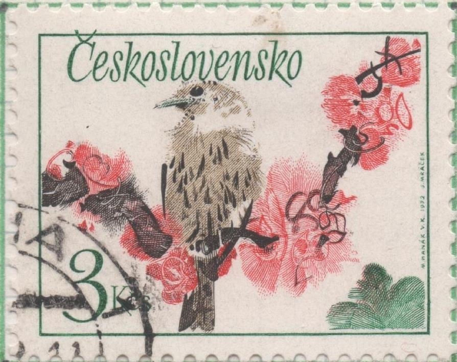 Sello E01791: hoja 117, Checoslovaquia: Sello Multicolor, dentado. Pájaros Cantores. Zorzal. Turdus philomelos, 3 Koruny