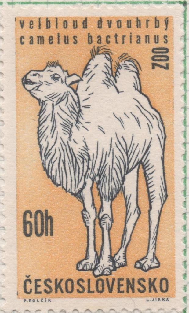 Sello E01080: hoja 71, Checoslovaquia: Sello Amarillo y blanco dentado. Aniversario del Zoo de Praga. Camello, 60 Haleru