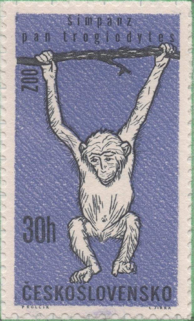 Sello E01079: hoja 71, Checoslovaquia: Sello Violeta y blanco dentado. Aniversario Zoo de Praga. Chimpanze, 30 haleru
