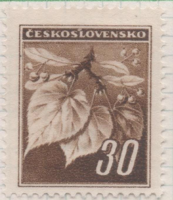 Sello E00313: hoja 25, Checoslovaquia: Sello Marron dentado. Flor de Tilo, 30