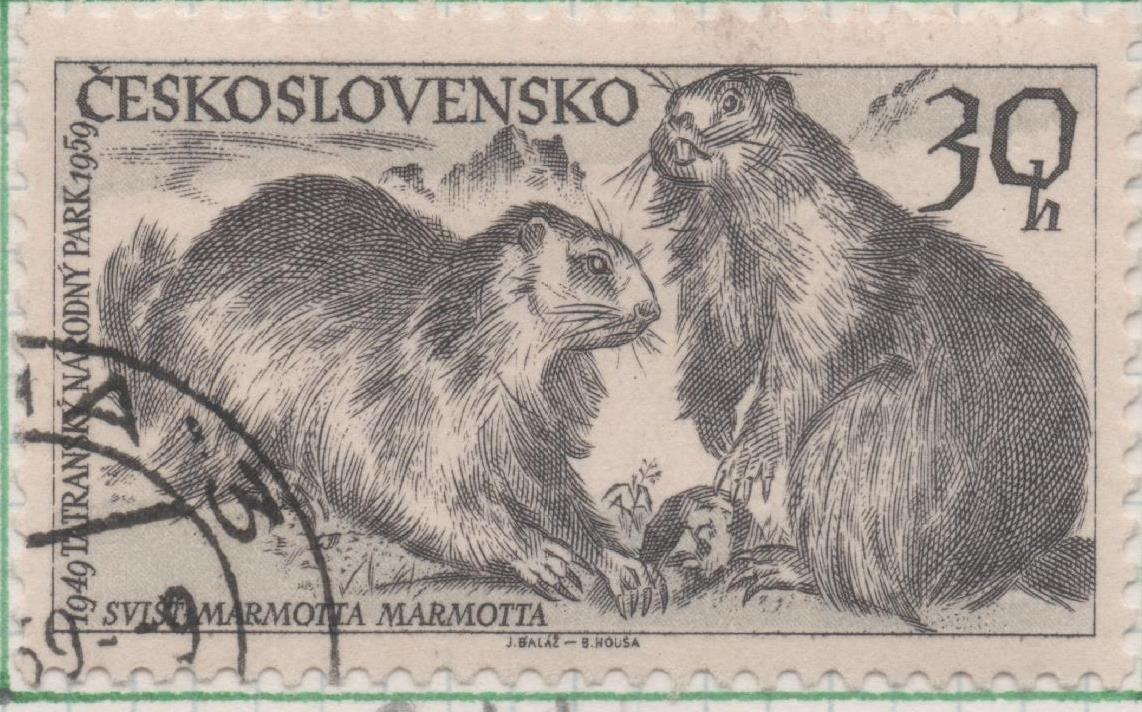 Sello E00911: hoja 62, Checoslovaquia: Sello Gris dentado. 10º Aniversario del Parque Nacional Monte Tatra, 30 Haleru