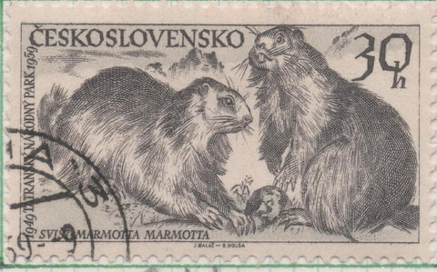 Sello E00911: hoja 62, Checoslovaquia: Sello Gris dentado. 10º Aniversario del Parque Nacional Monte Tatra, 30 Haleru