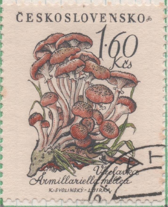 Sello E00880: hoja 59, Checoslovaquia: Sello Multicolor dentado. Setas. Armillariella mellea, 1,60 Koruna
