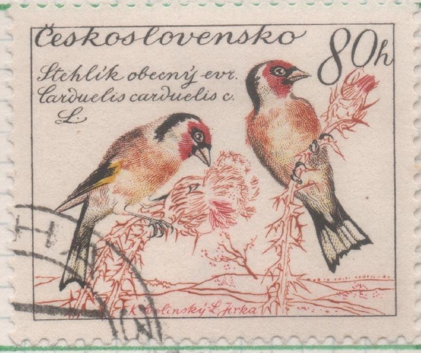 Sello E00924: hoja 62, Checoslovaquia: Sello Multicolor dentado. Pajaros. Carduelis carduelis, 80 Haleru