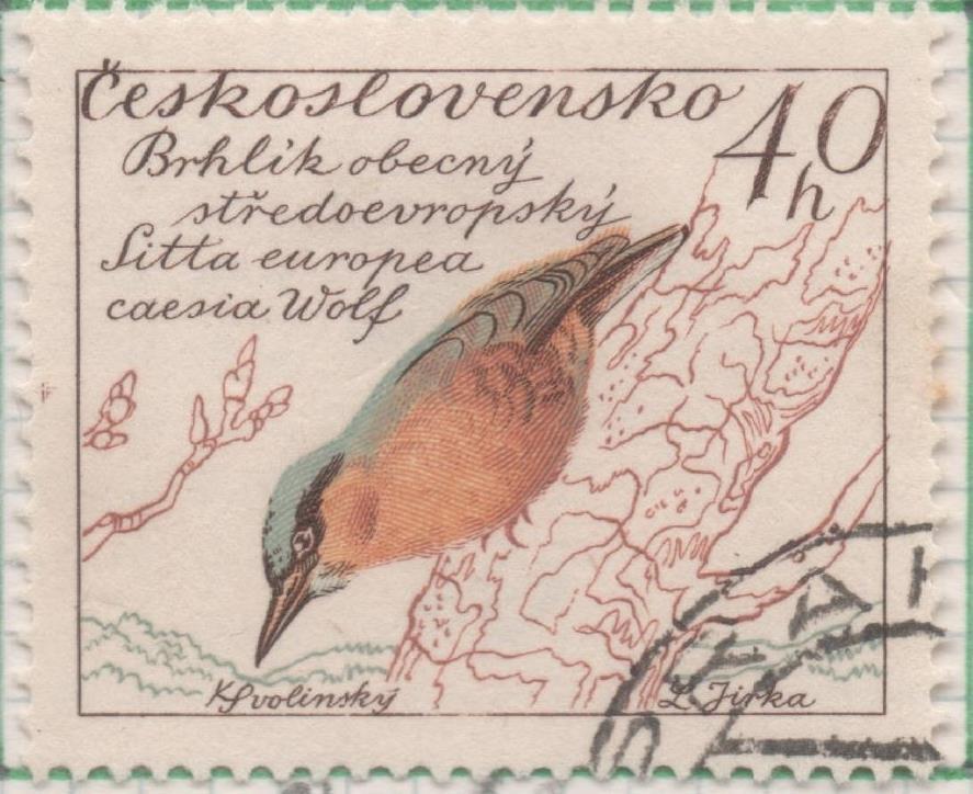 Sello E00922: hoja 62, Checoslovaquia: Sello Multicolor dentado. Pajaros. Sitta europaea, 40 Haleru