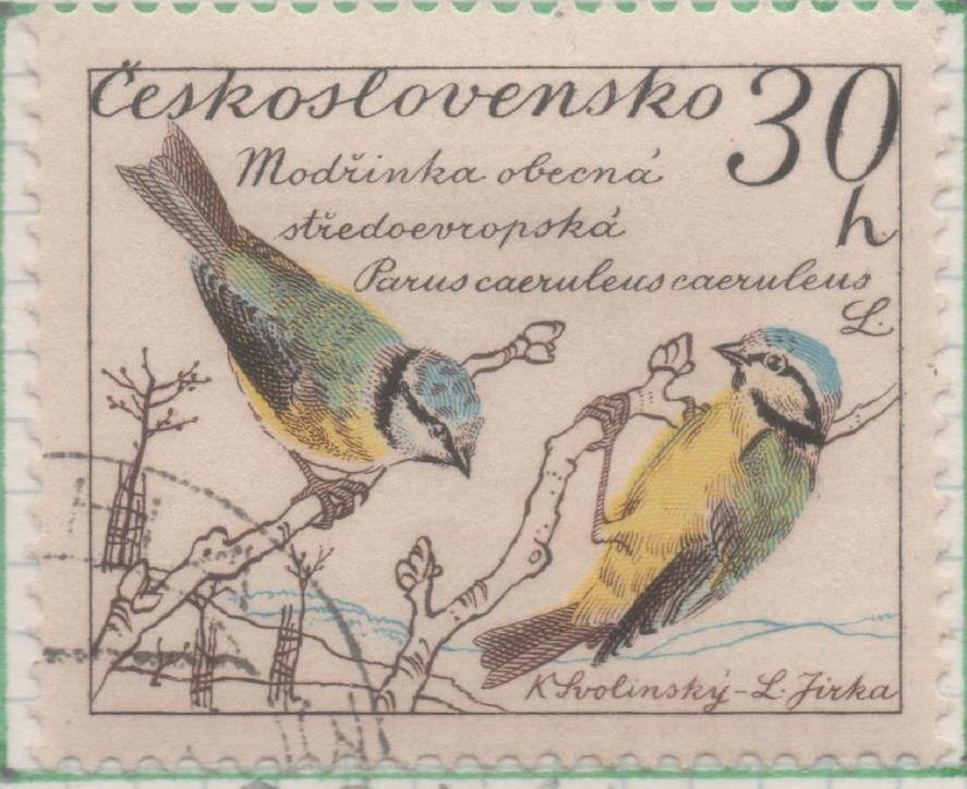 Sello E00921: hoja 62, Checoslovaquia: Sello Multicolor dentado. Pajaros. Parus caeruleus, 30 Halerus