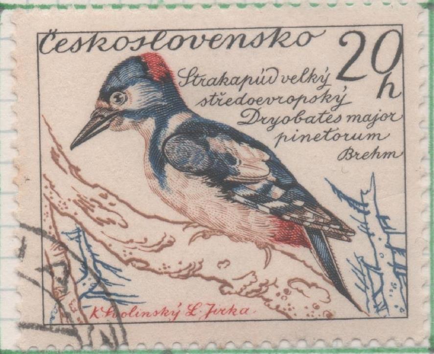 Sello E00920: hoja 62, Checoslovaquia: Sello Multicolor dentado. Pajaros. Deondrocopos major, 20 Haleru