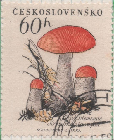 Sello E00878: hoja 59, Checoslovaquia: Sello Multicolor dentado. Setas. Trachypus versipellis, 60 Haleru