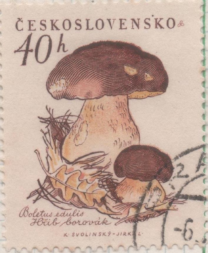 Sello E00877: hoja 59, Checoslovaquia: Sello Multicolor dentado. Setas. Boletus edulis, 40 Haleru