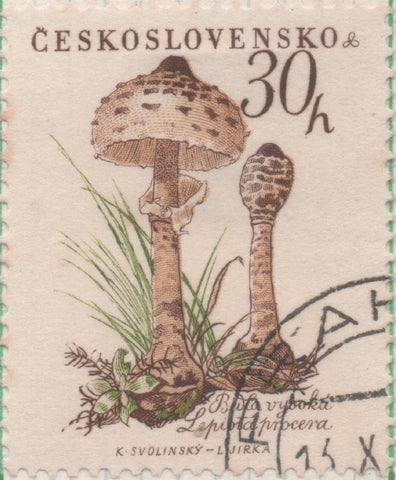 Sello E00876: hoja 59, Checoslovaquia: Sello Multicolor dentado. Setas. Macrolepiota procera, 30 Haleru