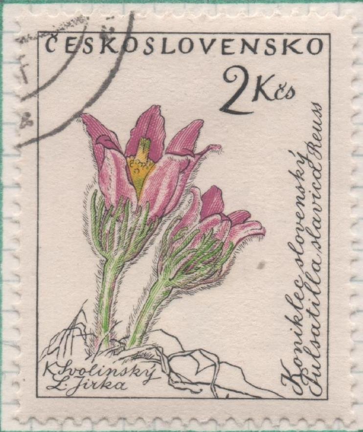 Sello E00997: hoja 66, Checoslovaquia: Sello Multicolor dentado. Flores. Pulsatilla slavica, 2 Koruny