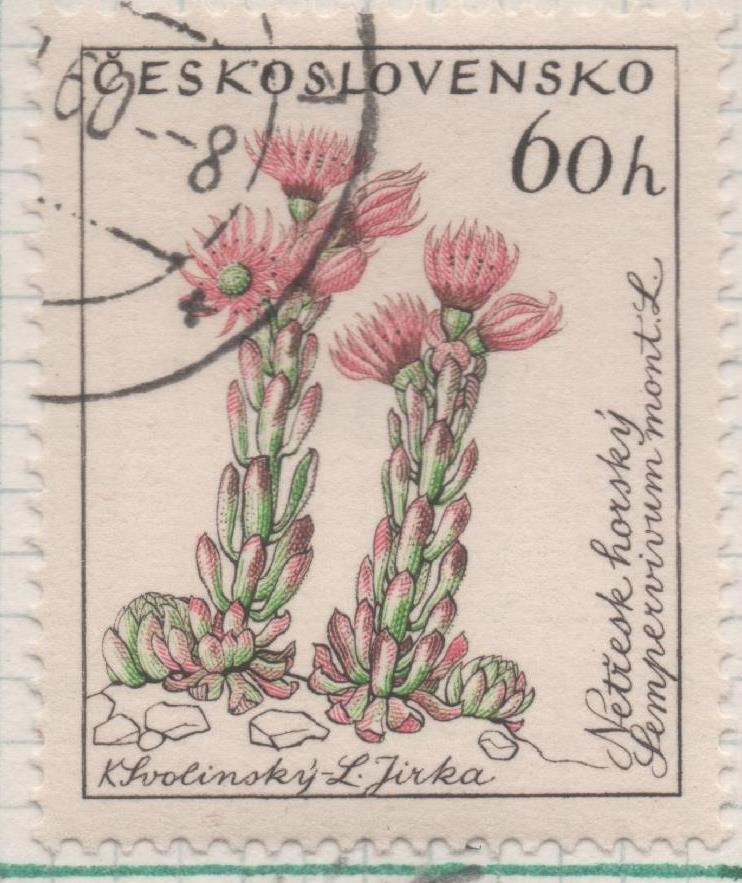 Sello E00995: hoja 66, Checoslovaquia: Sello Multicolr dentado. Sempervivum montanum, 60 Haleru