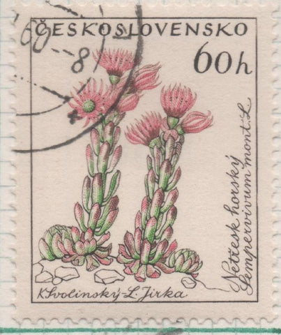 Sello E00995: hoja 66, Checoslovaquia: Sello Multicolr dentado. Sempervivum montanum, 60 Haleru