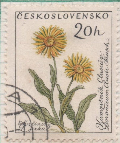 Sello E00992: hoja 66, Checoslovaquia: Sello Multicolor dentado. Flores. Doronicum clusii, 20 Haleru