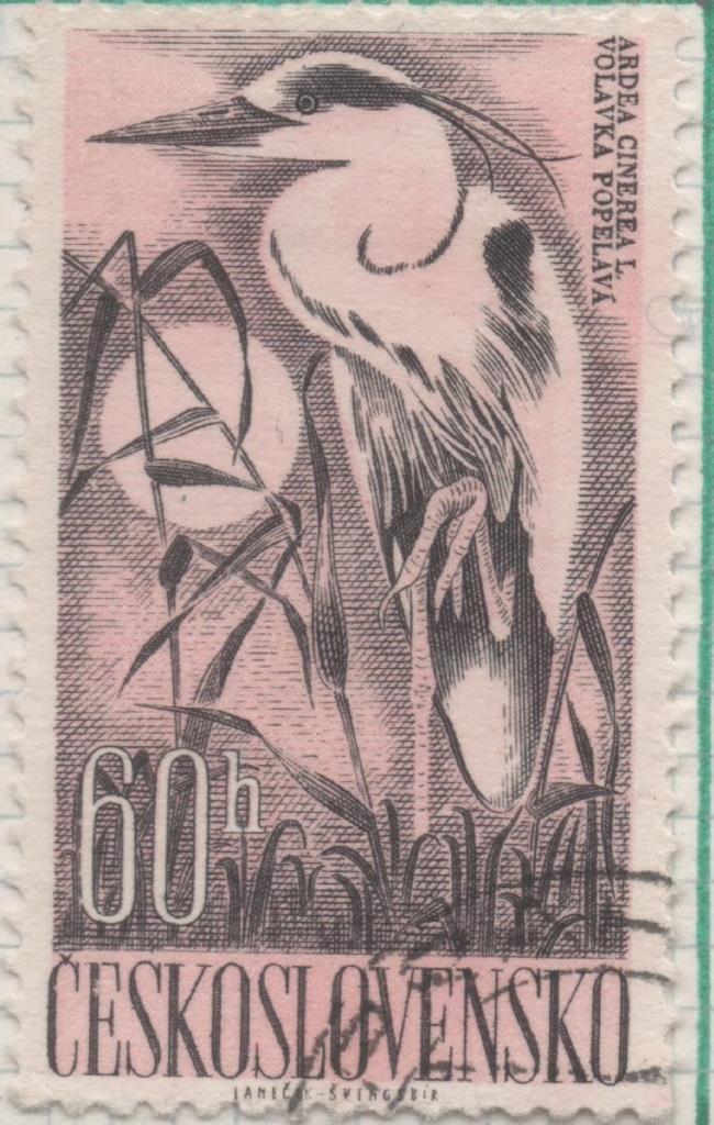 Sello E00987: hoja 66, Checoslovaquia: Sello Lila y negro dentado. Pajaros acuaticos. Ardea cinerea, 60 Haleru