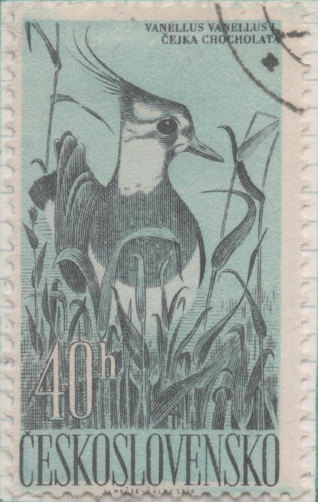 Sello E00986: hoja 66, Checoslovaquia: Sello Azul y negro dentado. Pajaros acuaticos. Vanellus vanellus, 40 Haleru