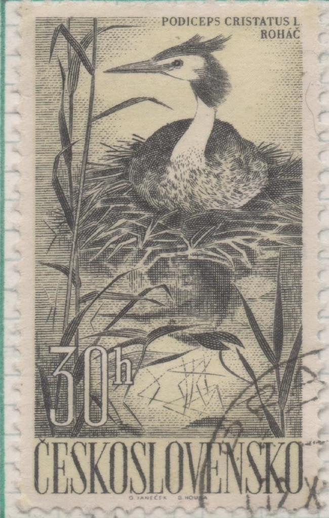 Sello E00985: hoja 66, Checoslovaquia: Sello Negor y amarillo dentado. Pajaros acuaticos. Podiceps cristatus, 30 haleru