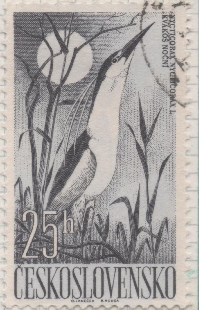 Sello E00984: hoja 66, Checoslovaquia: Sello Gris dentado. Pajaros acuaticos. Nycticorax nycticorax, 25 Haleru