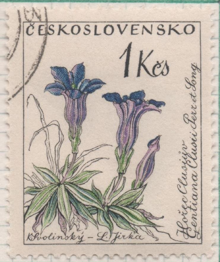 Sello E00996: hoja 66, Checoslovaquia: Sello Multicolor dentado. Flores. Gentiana clusii, 1 Koruna