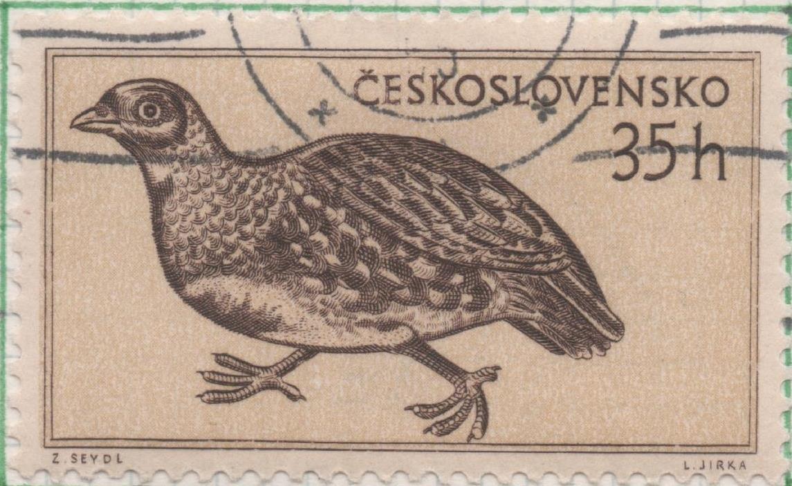 Sello E00701: hoja 48, Checoslovaquia: Sello Crema dentado. Fauna Diversa. Perdiz, 35 Haleru