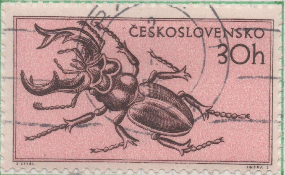 Sello E00700: hoja 48, Checoslovaquia: Sello Rosa dentado. Fauna Diversa. Escarabajo, 30 Haleru