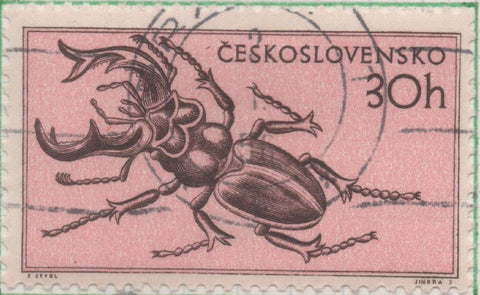 Sello E00700: hoja 48, Checoslovaquia: Sello Rosa dentado. Fauna Diversa. Escarabajo, 30 Haleru