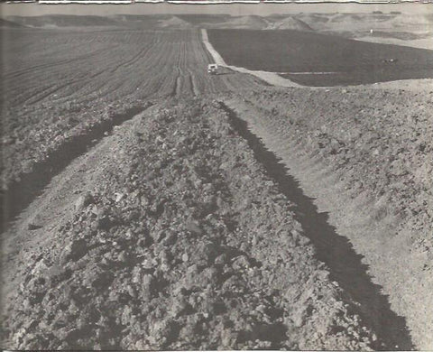 LAMINA V00276: Campo en barbecho en Segria, Lerida