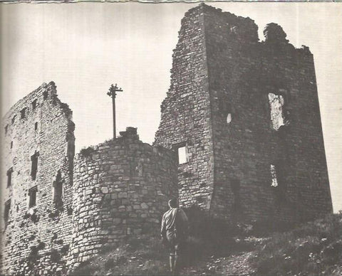 LAMINA V00270: Castillo de Savalla, Lerida