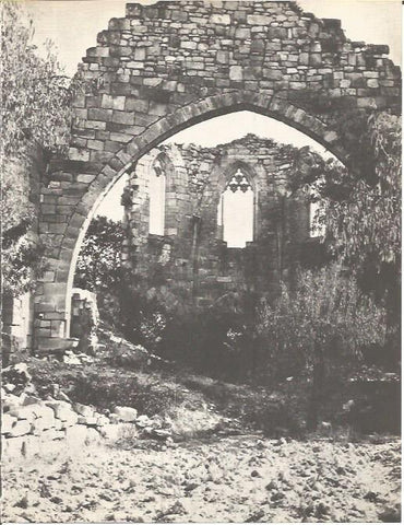 LAMINA V00267: Ruina en Vallsanta, Lerida