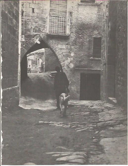 LAMINA V00261: Calle en la Segarra, Lerida