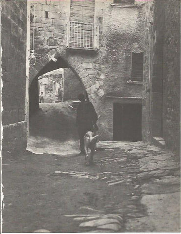 LAMINA V00261: Calle en la Segarra, Lerida