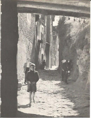 LAMINA V00300: Callejon en Ager, Lerida