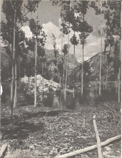 LAMINA V00298: Estanque de Sant Llorenç de Montgai, Lerida