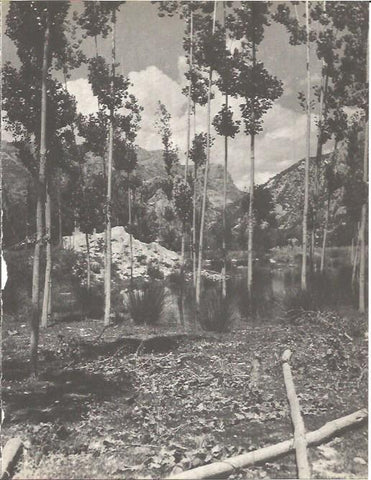 LAMINA V00298: Estanque de Sant Llorenç de Montgai, Lerida