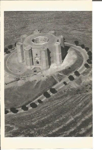 LAMINA V00382: Castillo del Monte en Pulla, Italia