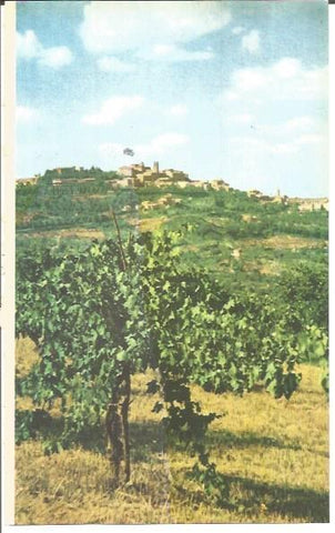 LAMINA V00396: Vista parcia del Coliseo, Roma