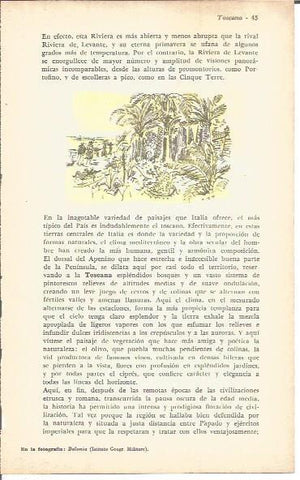 LAMINA V00394: Ilustracion de paisaje