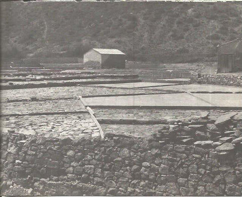 LAMINA V00313: Salina de Vilanova de la Sal, Lerida