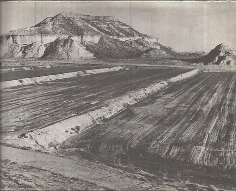 LAMINA V00337: Campos de cultivo entrada en Albalat, Lerida