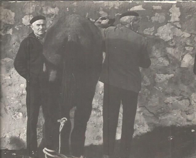 LAMINA V00336: Hombres de Mequinenza, Zaragoza