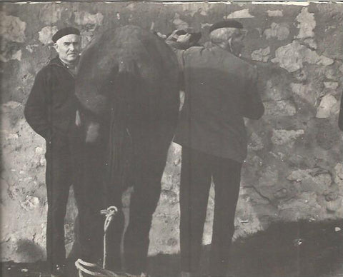LAMINA V00336: Hombres de Mequinenza, Zaragoza