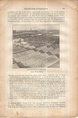 LAMINA V00099: Stockyards en Chicago, Estados Unidos