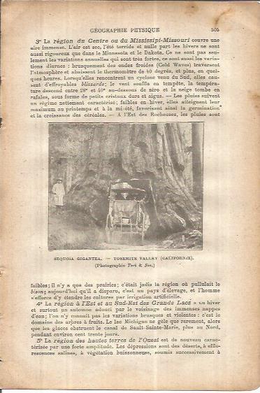 LAMINA V00094: Secuoya gigante en el Parque Yosemite, Estados Unidos