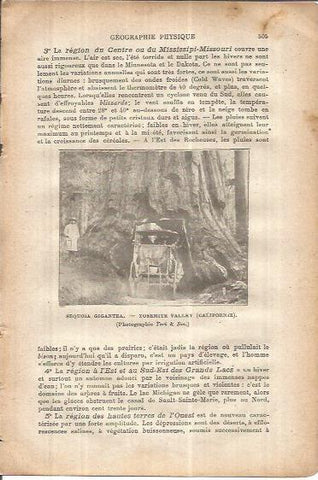 LAMINA V00094: Secuoya gigante en el Parque Yosemite, Estados Unidos