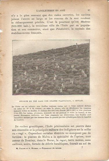 LAMINA V00017: Recoleccion de te en Sri Lanka