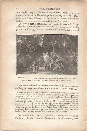 LAMINA V00015: Higuera de Bengala, Sri Lanka