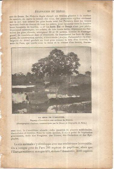 LAMINA V00101: La Cruz del Amazonas, Brasil