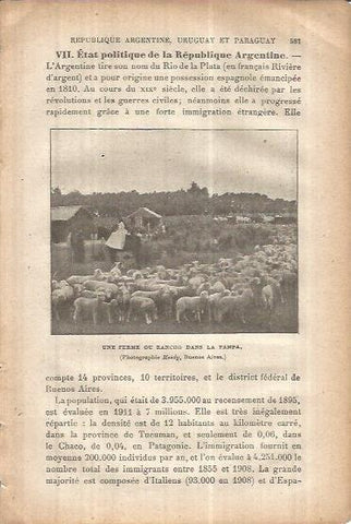 LAMINA V00107: Rebaño de ovejas en La Pampa, Argentina