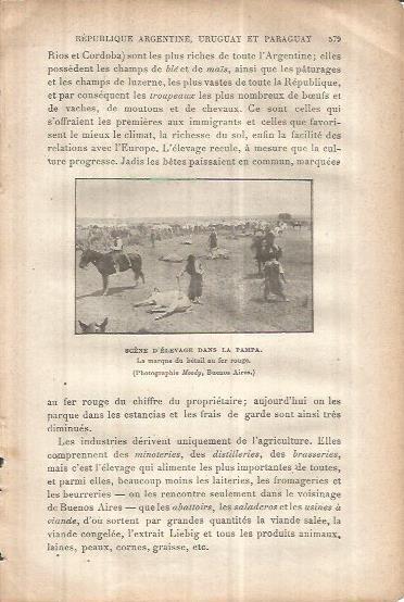 LAMINA V00106: Trabajos ganaderos en La Pampa, Argentina
