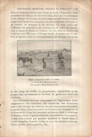 LAMINA V00106: Trabajos ganaderos en La Pampa, Argentina